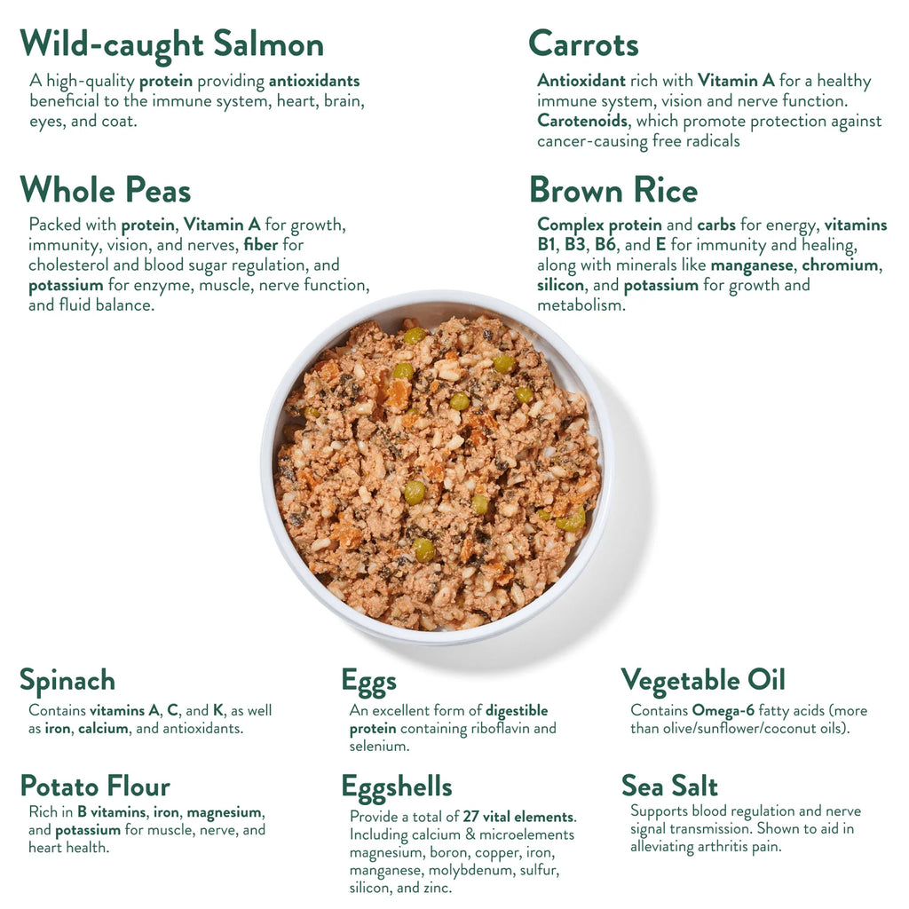 Portland Pet Food Co. Wally's Salmon N' Rice Homestyle Dog Meal 9 oz