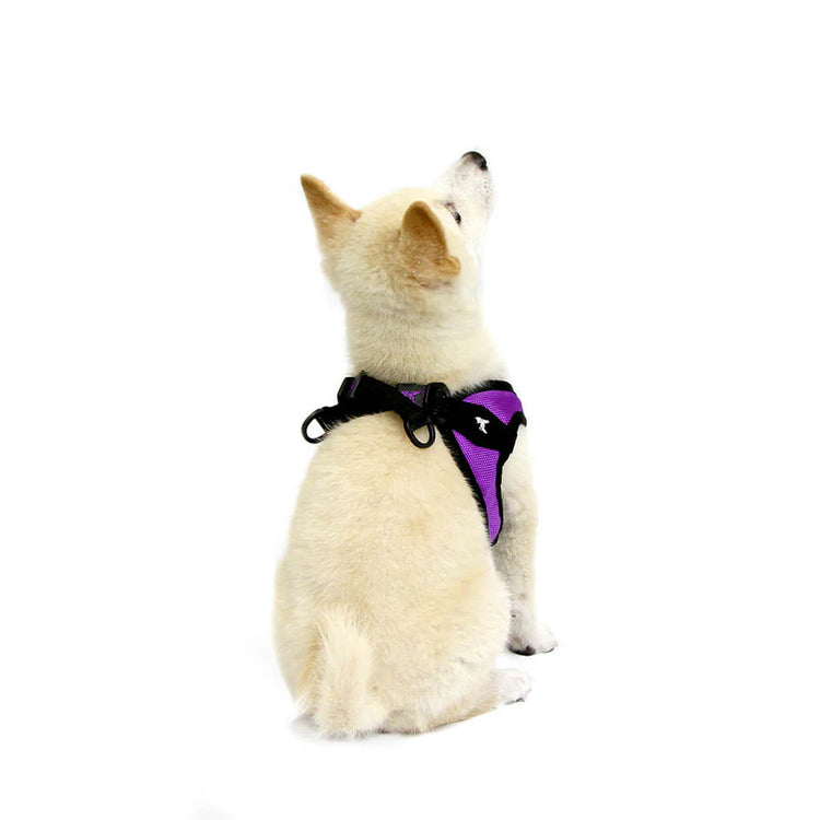 Gooby Escape Free Memory Foam Dog Harness