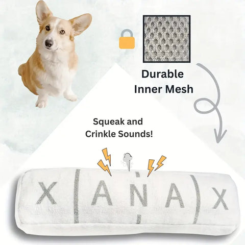Medicine Dog Chew Toy