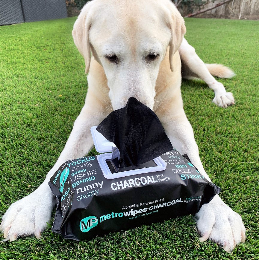 MetroWipes Charcoal Pet Wipes – Peppermint Scented, 25 Count