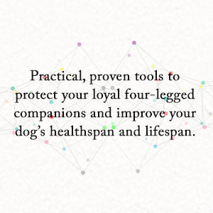 The Forever Dog – By Rodney Habib & Dr. Karen Becker