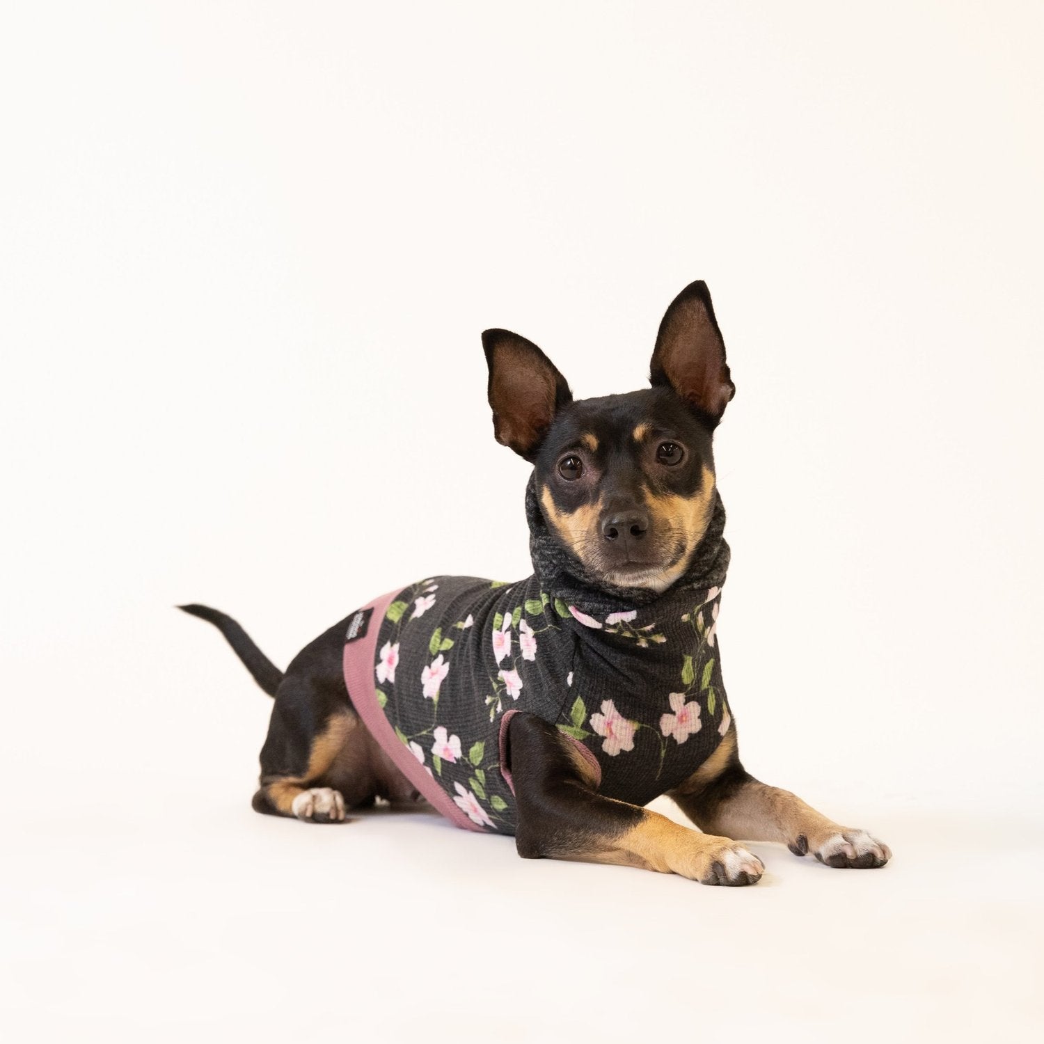 The Long Dog Reversible Dog Sweater Hoodies