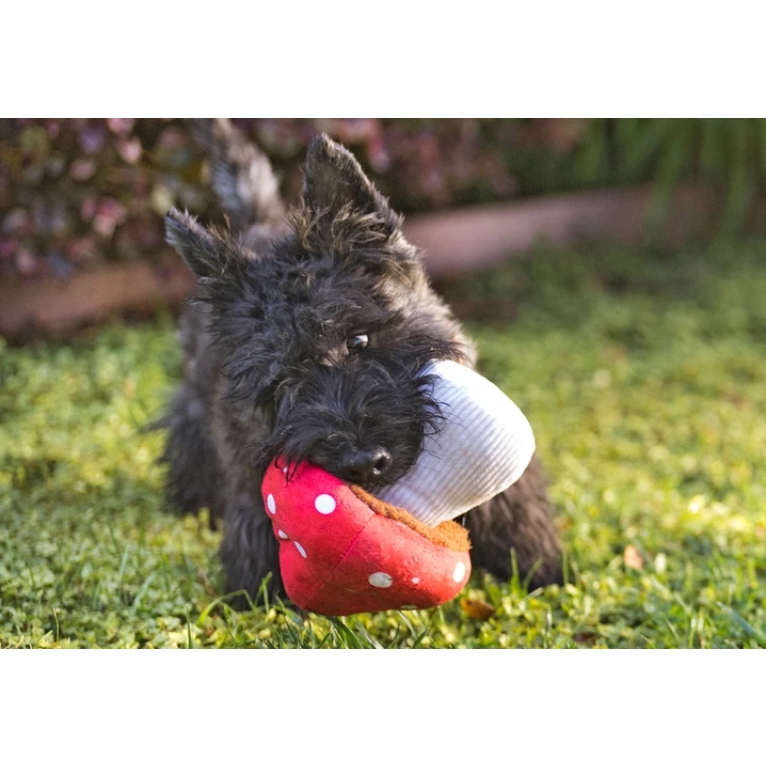 P.L.A.Y. Mutts Mushroom Plush Dog Toy