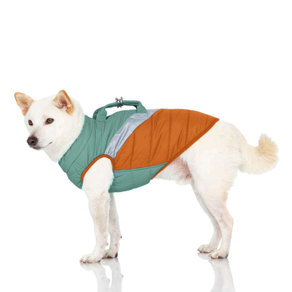 Gooby Mountaineer Dog Jacket