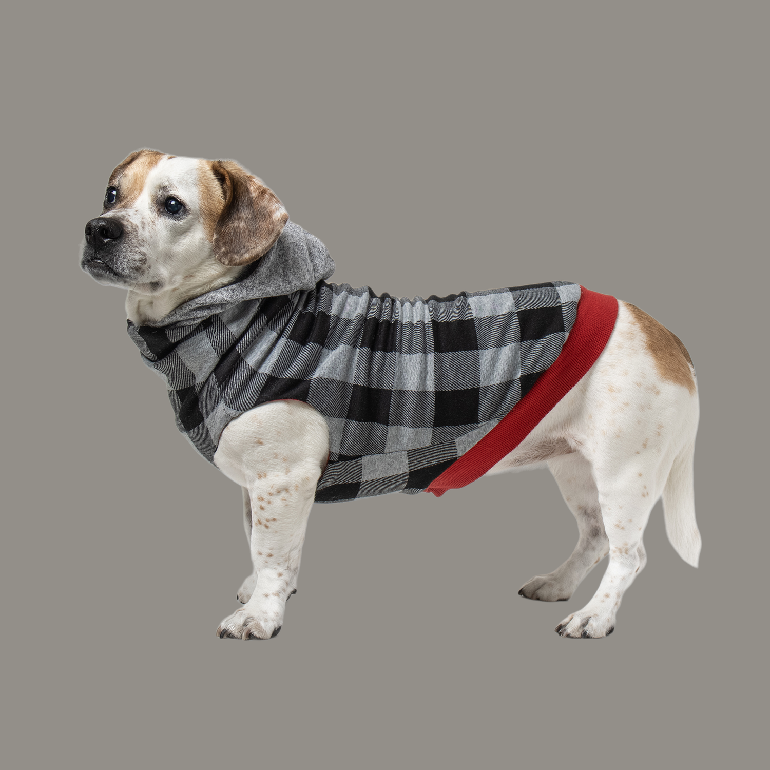 The Long Dog Reversible Dog Sweater Hoodies
