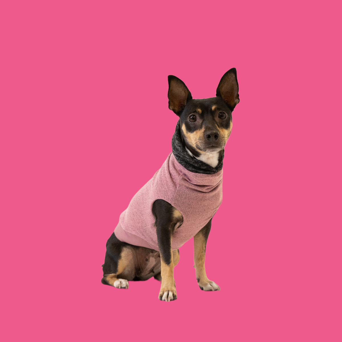 The Long Dog Reversible Dog Sweater Hoodies