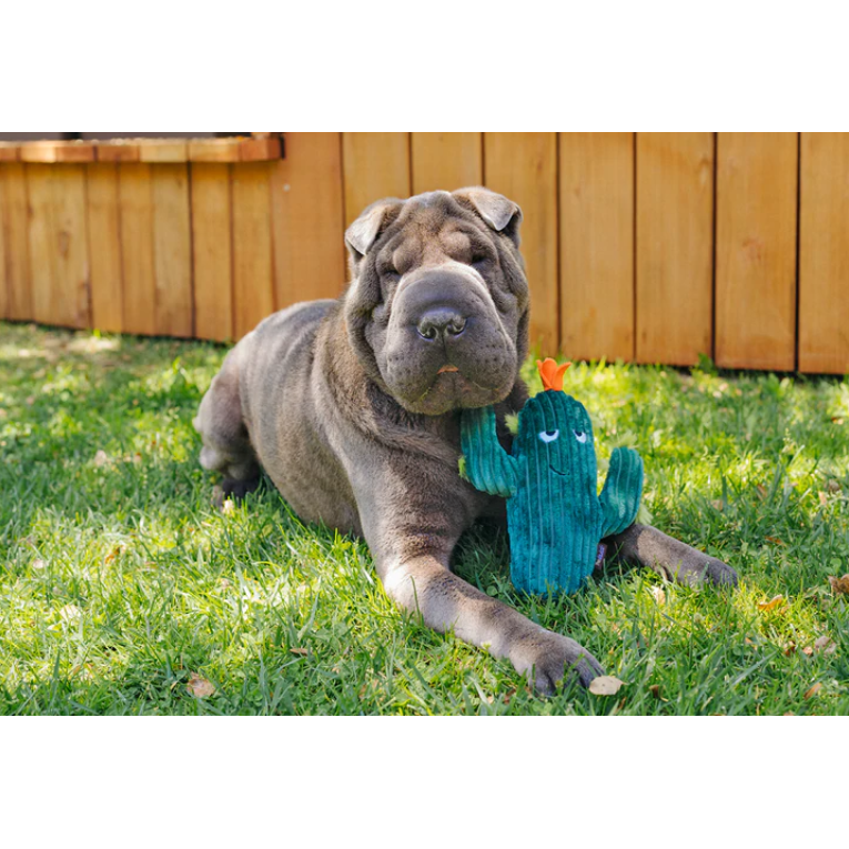 P.L.A.Y. Prickly Pup Cactus Plush Dog Toy