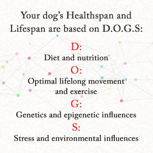 The Forever Dog – Rodney Habib & Dr. Karen Becker