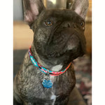 Tulum HM Handmade Dog Leashes & Collars