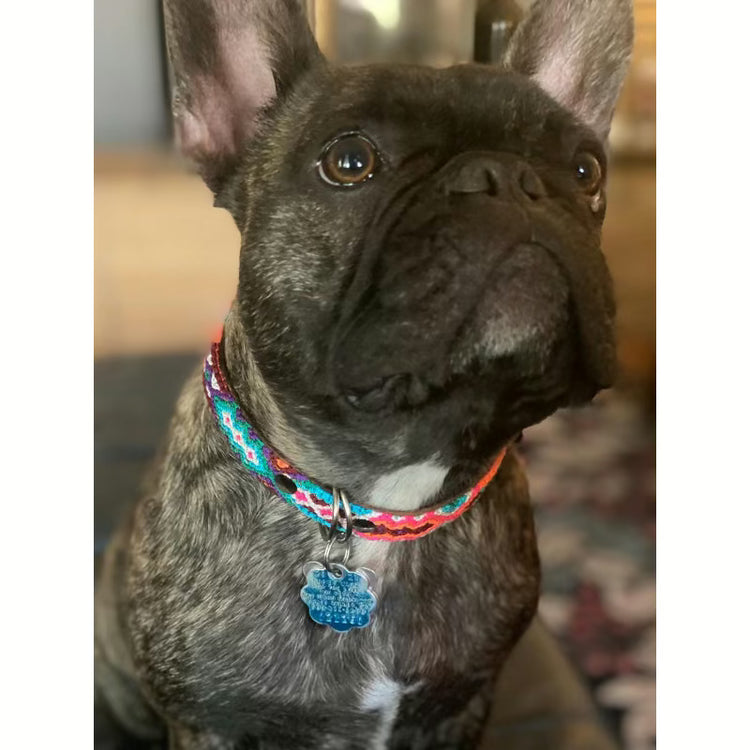 Tulum HM Handmade Dog Leashes & Collars
