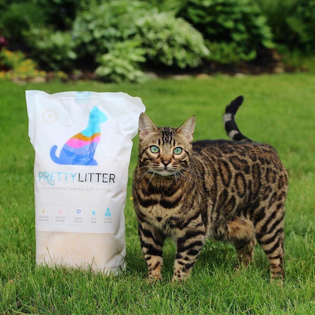 PrettyLitter Health Monitoring Cat Litter – Odor Control & Multi-Cat Strength