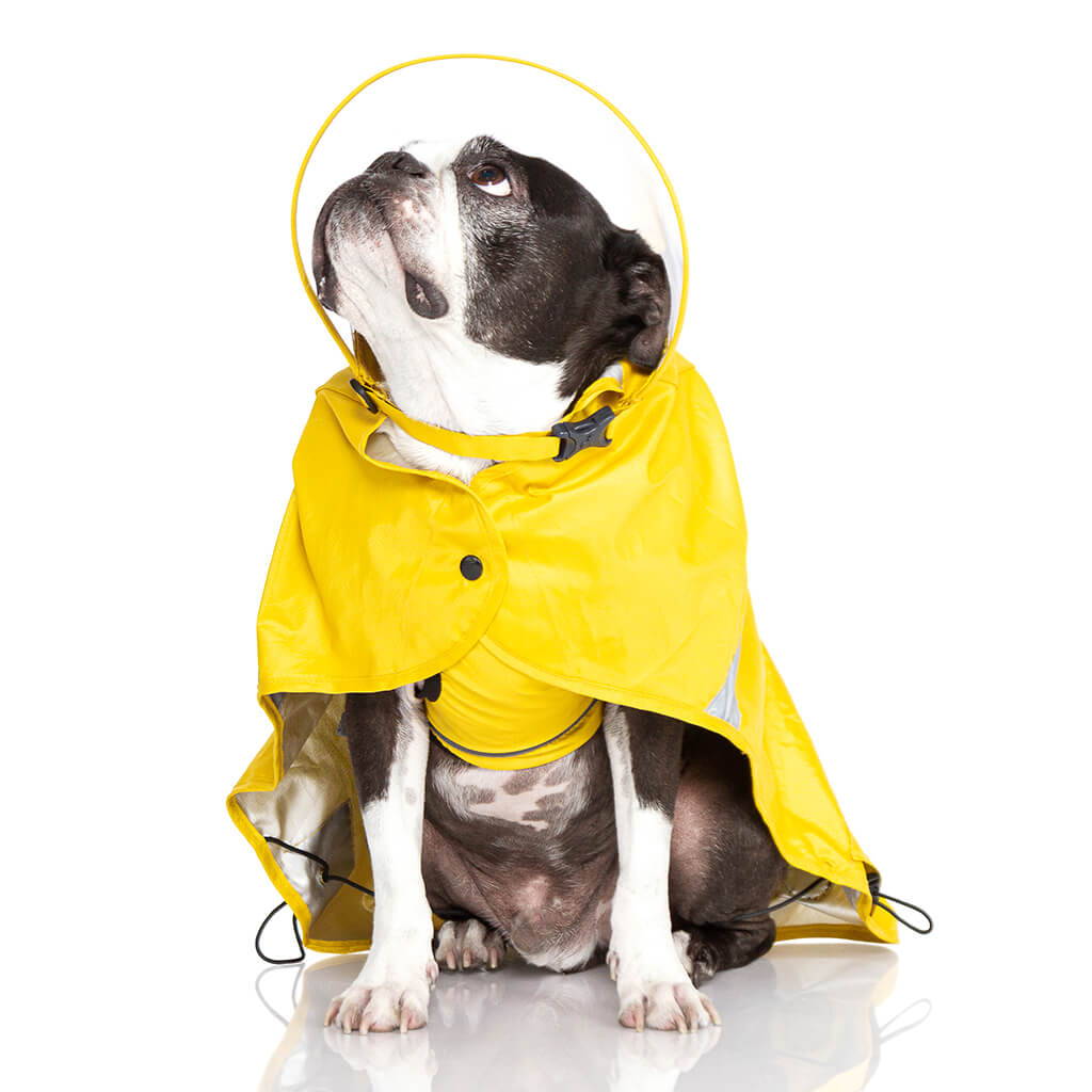 Gooby Dog Raincoat