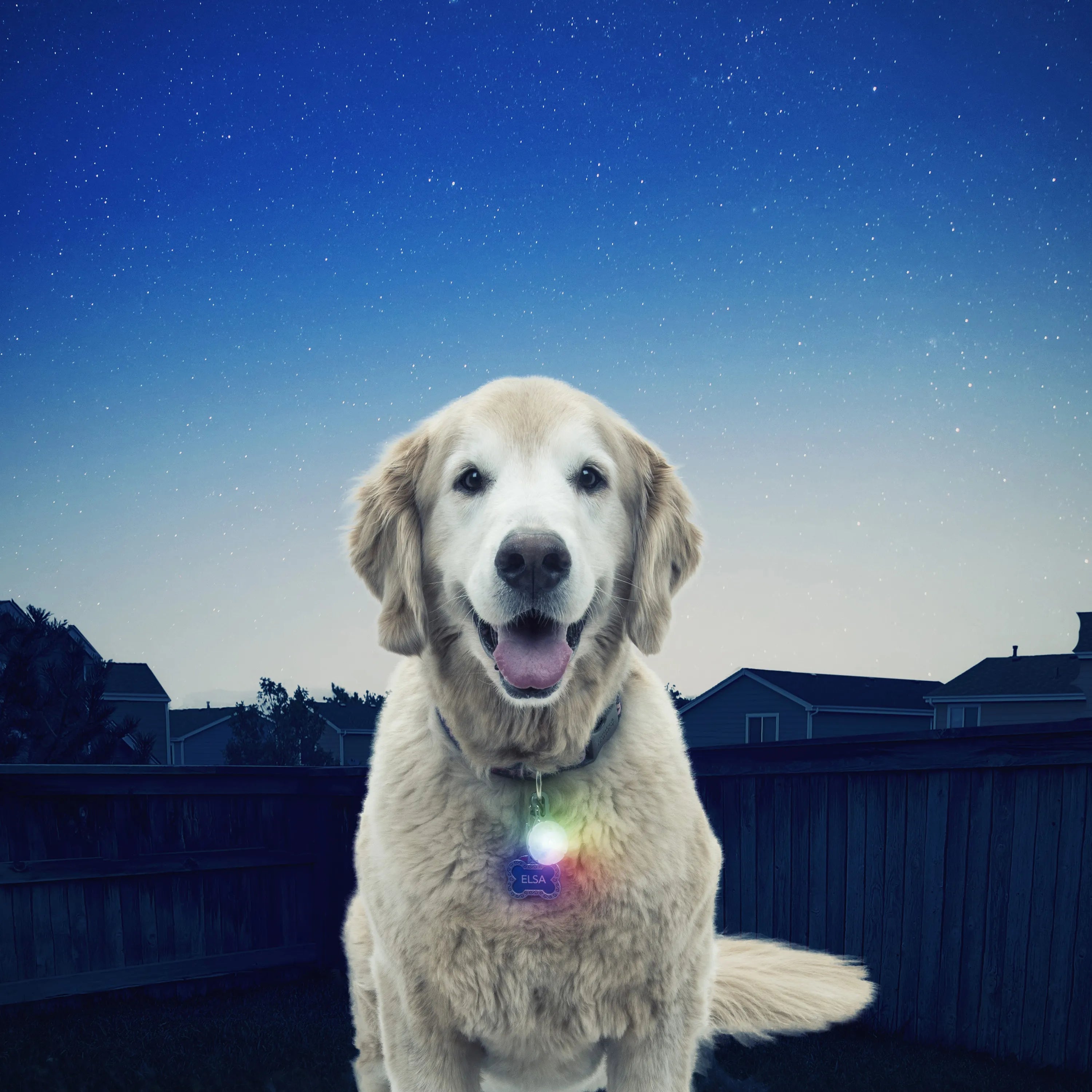 SpotLit Disc-O Select