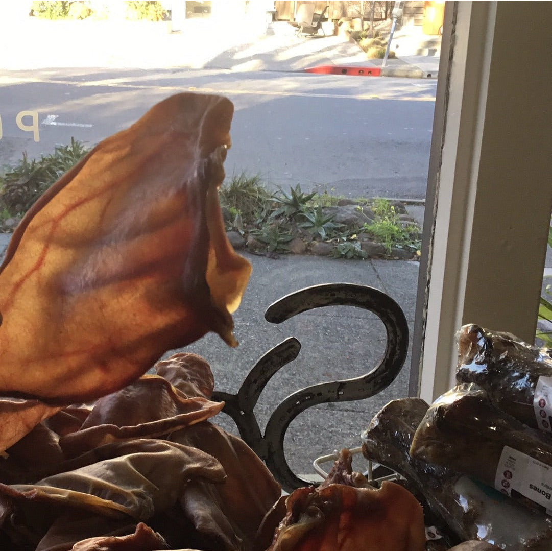 Pig Ear (single)