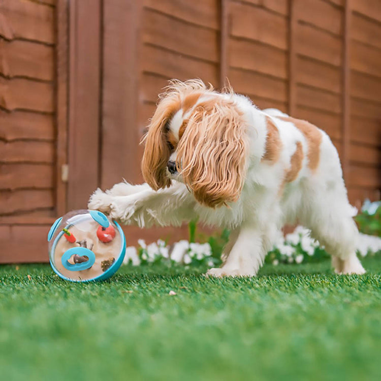 P.L.A.Y. Wobble Ball 2.0 – Interactive Treat Dispensing Dog Toy