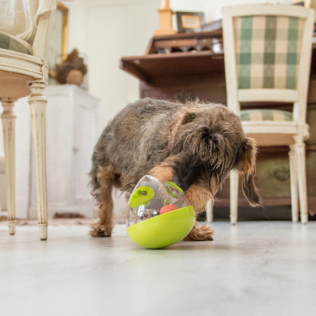 P.L.A.Y. Wobble Ball 2.0 – Interactive Treat Dispensing Dog Toy