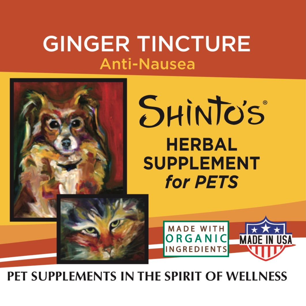 Shinto’s Herbal Supplement – Ginger Tincture for Pets (1 oz) – Anti-Nausea Support