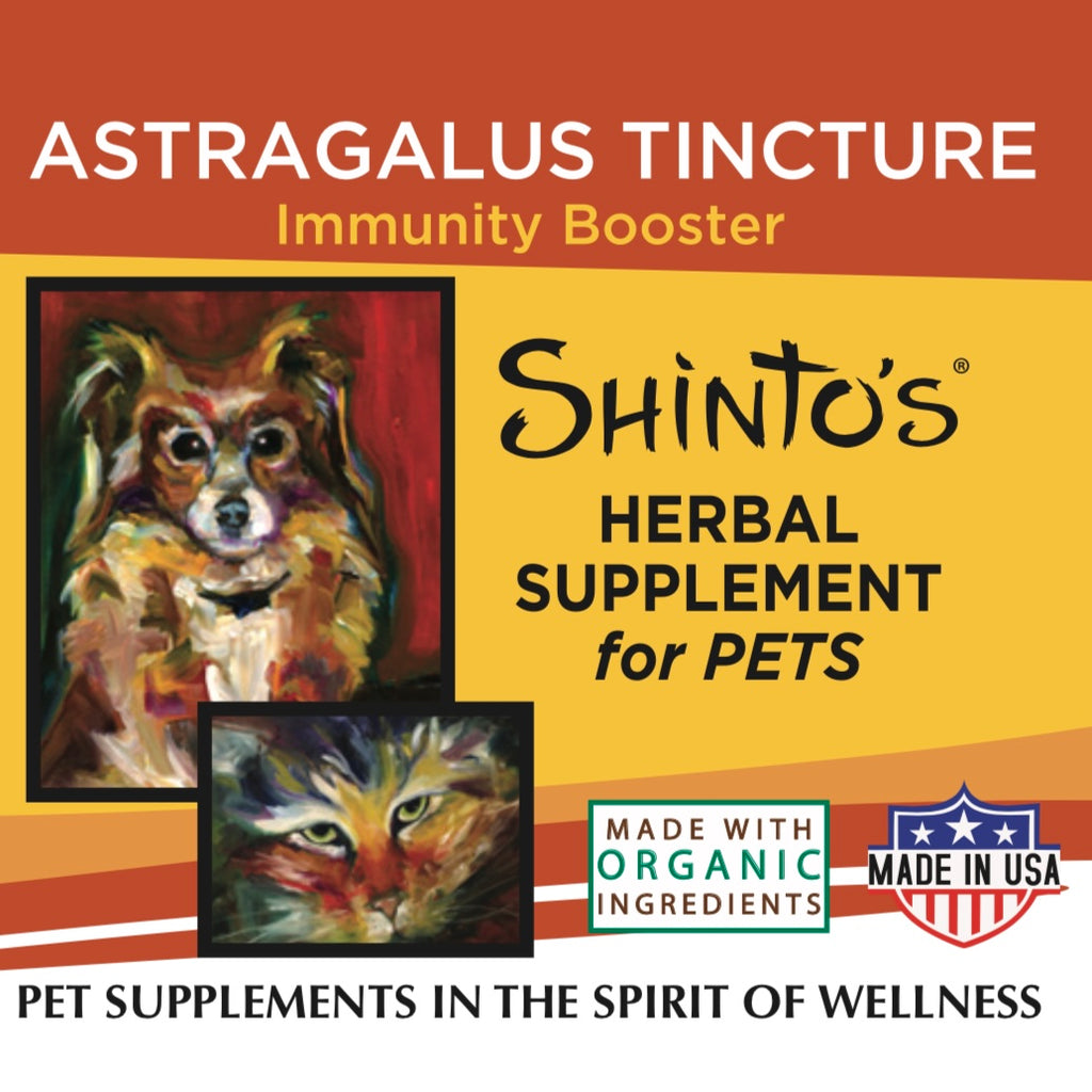 Shinto’s Astragalus Tincture for Dogs & Cats – 1 oz