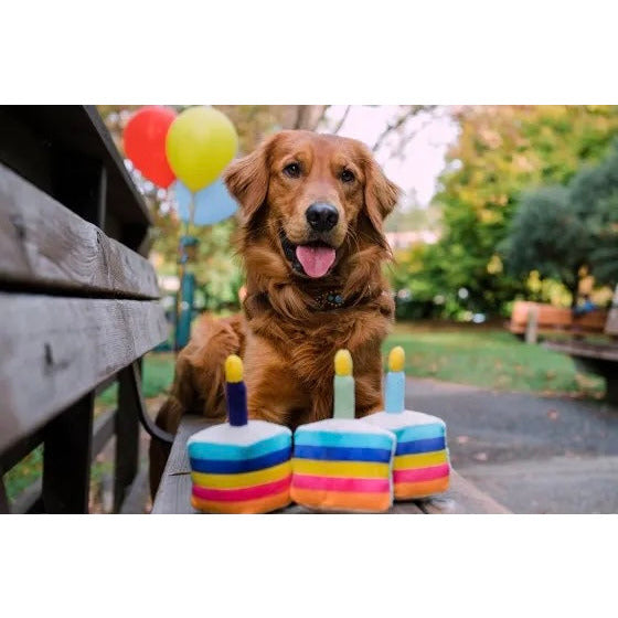 P.L.A.Y. Bone-Appetite Cake Plush Dog Toy
