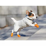 Pawz Waterproof Rubber Dog Boots