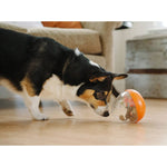 P.L.A.Y. Wobble Ball 2.0 – Interactive Treat Dispensing Dog Toy