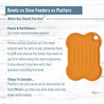 Bowls vs Slow Feeders vs Platters