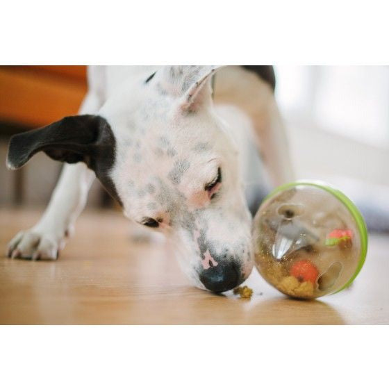 P.L.A.Y. Wobble Ball 2.0 – Interactive Treat Dispensing Dog Toy