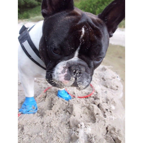Pawz Waterproof Rubber Dog Boots