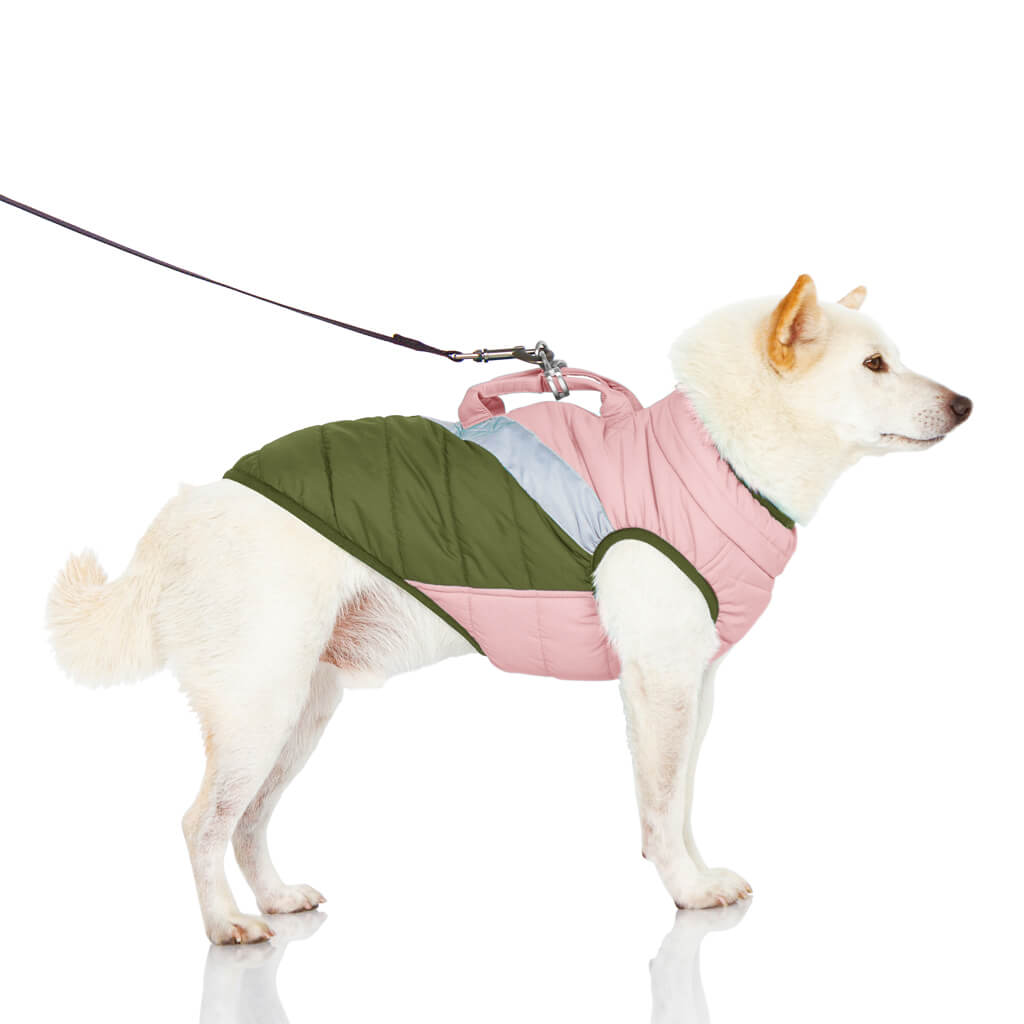 Gooby Mountaineer Dog Jacket