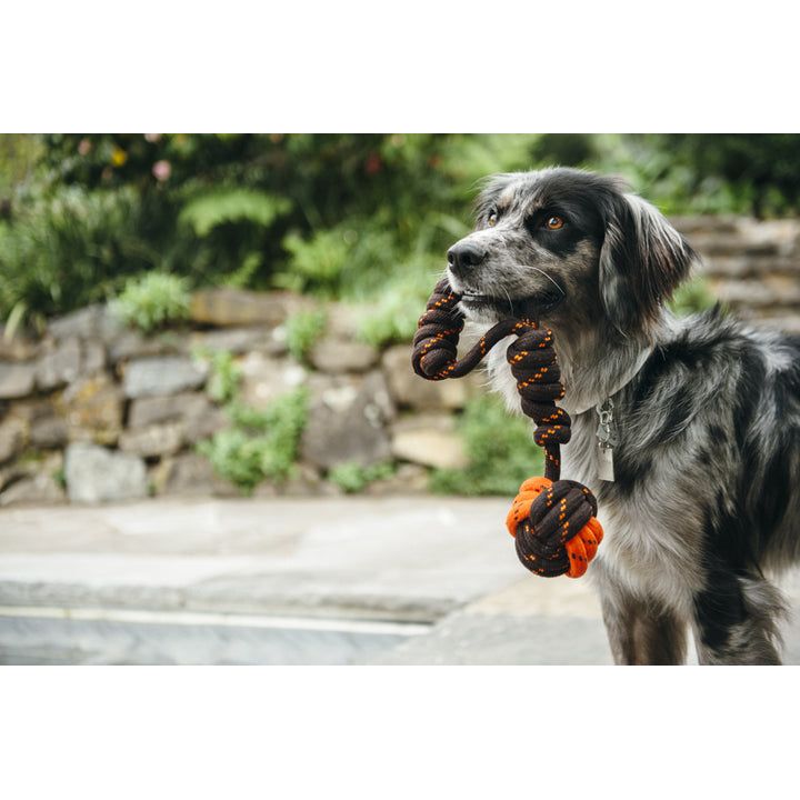 P.L.A.Y. Tug Ball Rope Toy – Durable, Eco-Friendly Tug & Fetch Dog Toy