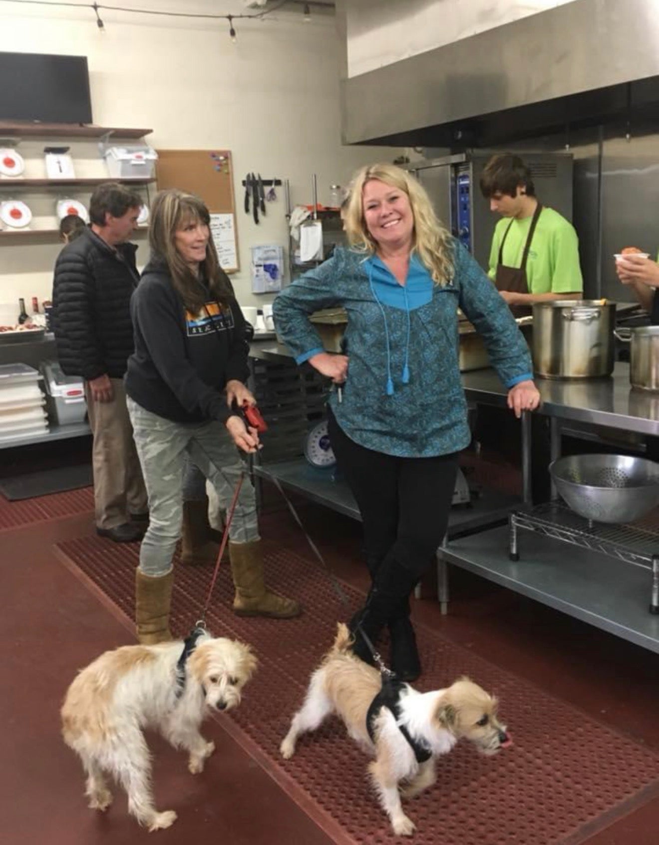 Lindsey with the team and dogs in the Shinto’s kitchen